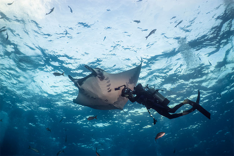 Dive Sites