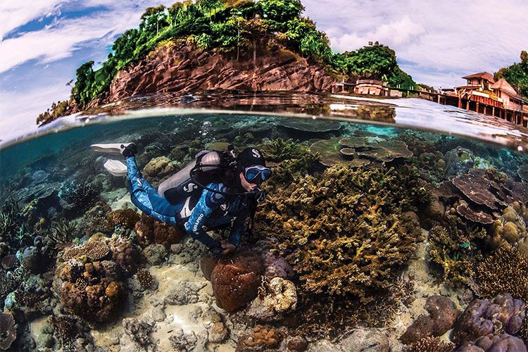 Best Dive Conditions