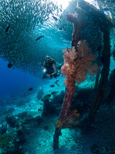 scuba diver Melanie Benz with fish