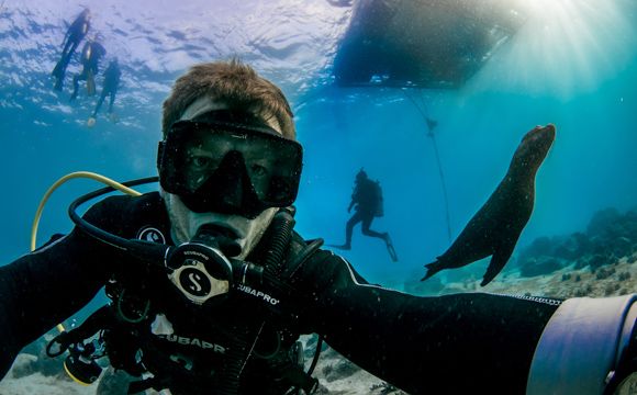 Caine Delacy scuba diving