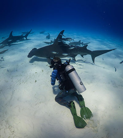 James Glancy with sharks