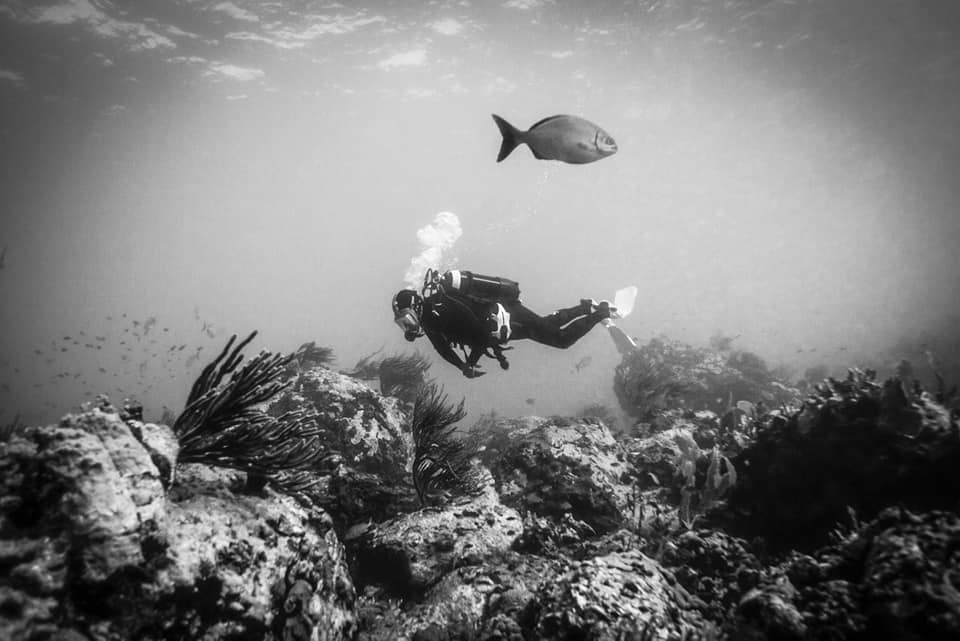 diver Jerome Delafosse with a fish