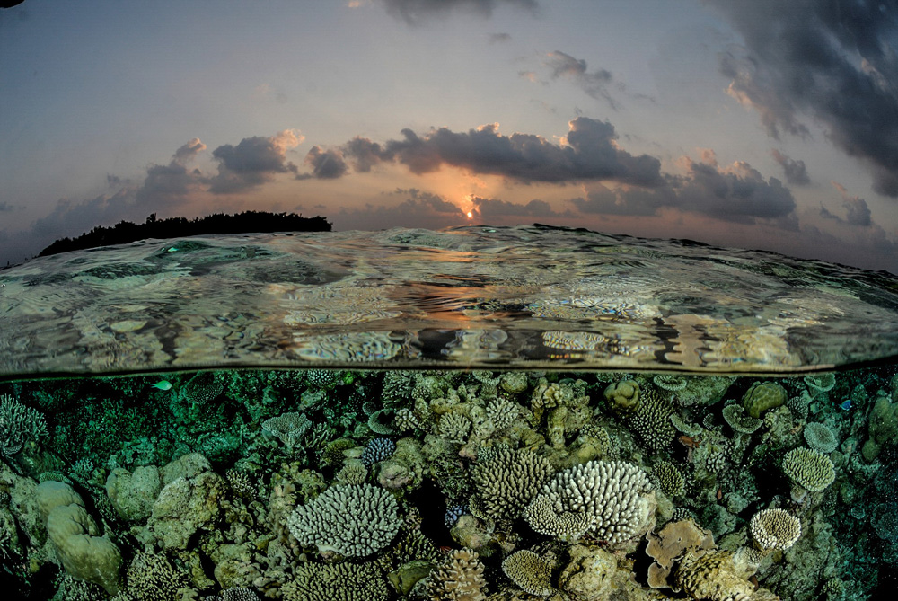 scenic dive location