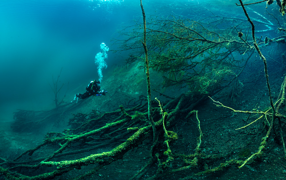 SCUBAPRO Dive Team Member diving near underwater trees