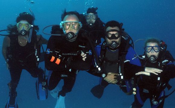 Michael Lang diving