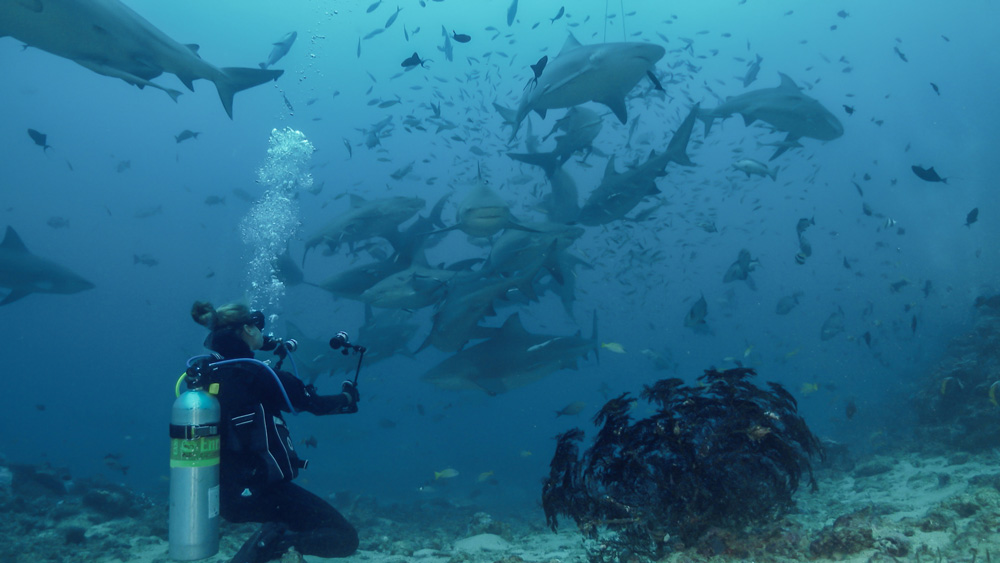 SCUBAPRO Global Dive Team Natasha Marosi swimming with sharks