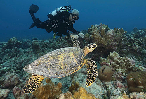 Paul Rose with a turtle