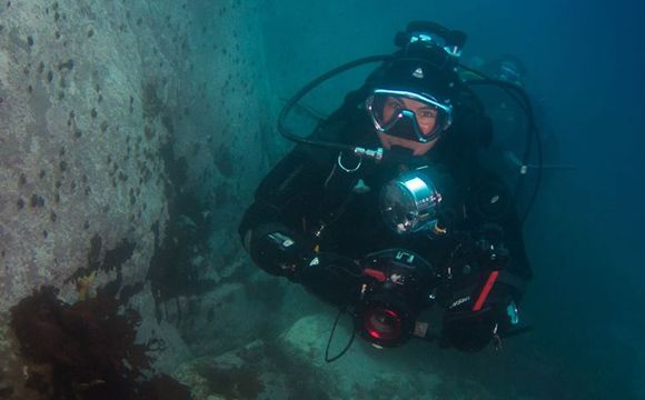 sylvia earle accomplishments