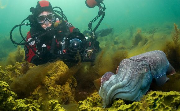 Michele Hall scuba diving underwater photography