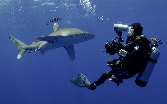 Howard Hall underwater photography