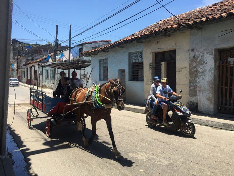 Horse-Cart