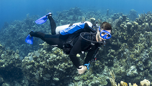 Navigator Lite In Use Underwater