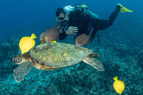 Scuba Diver wearing GO Sport Fins