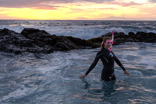 Snorkeler on surface