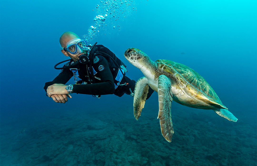 Canary Islands