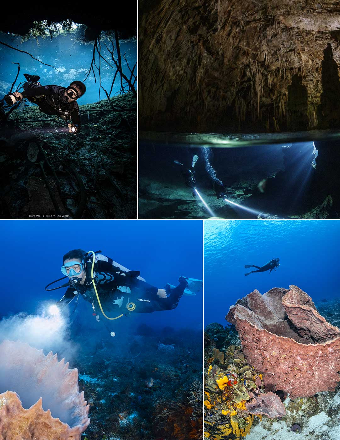 Cenotes, Cozumel