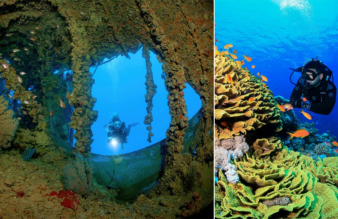 Wreck, Coral