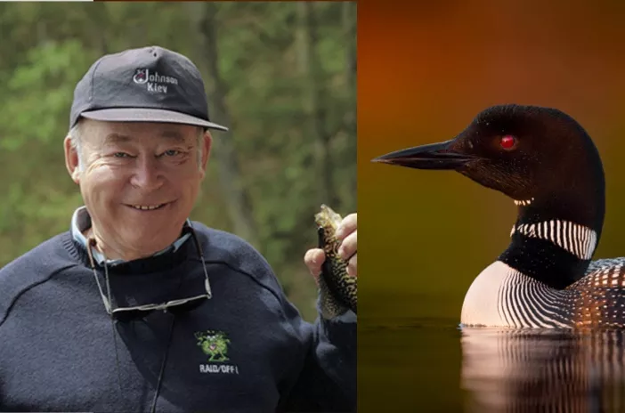 The Loon and Our Founder