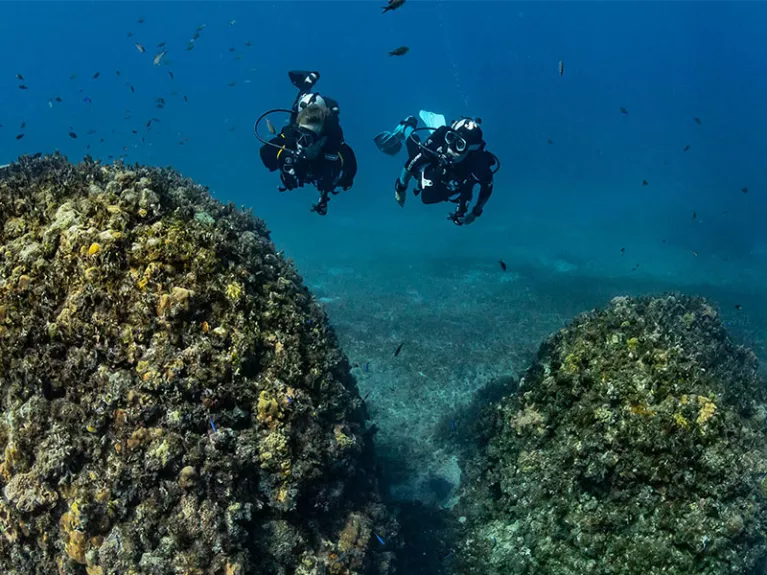 Two divers