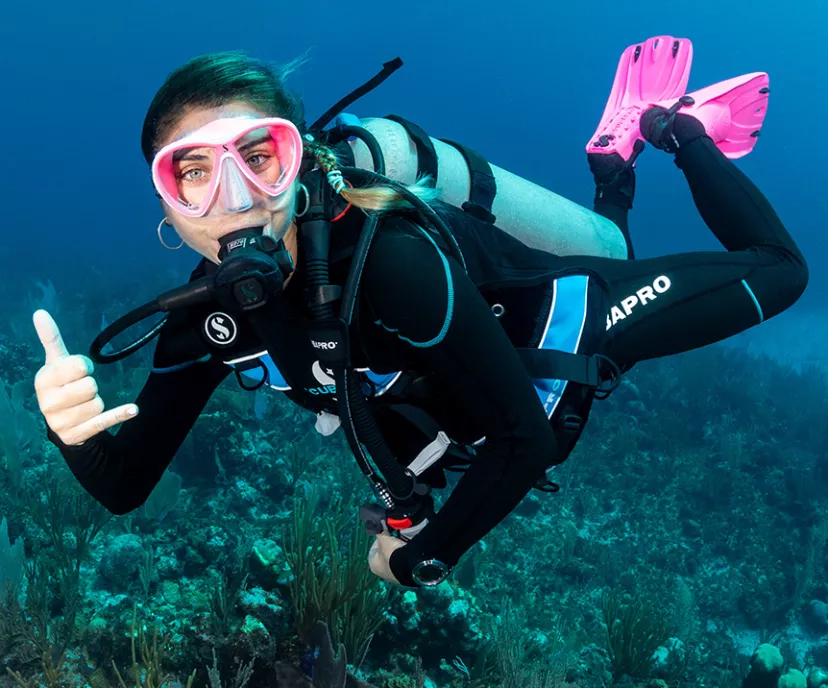 Dive Wear Finder
